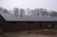 OMEGA (OLANDA)2