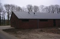 OMEGA (OLANDA)3